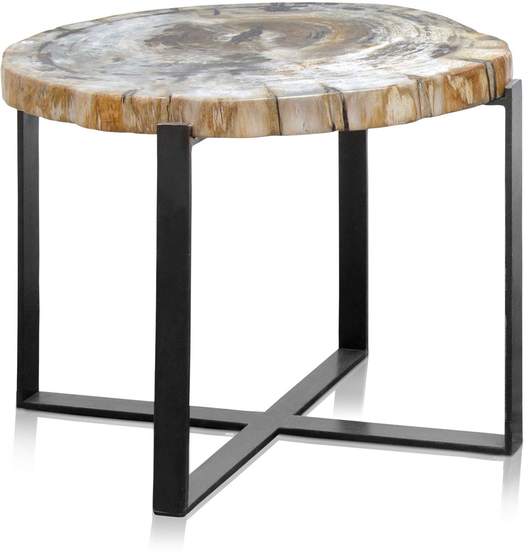 Petrified Wood Coffee Table *