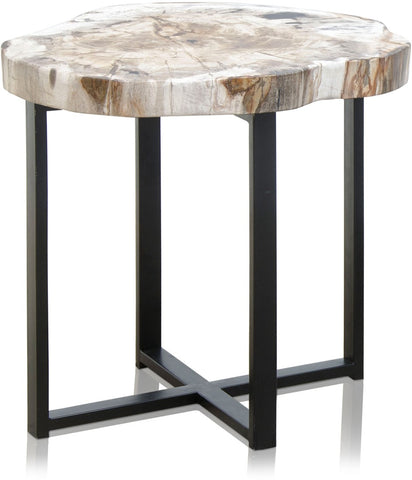 Petrified Wood Coffee Table *