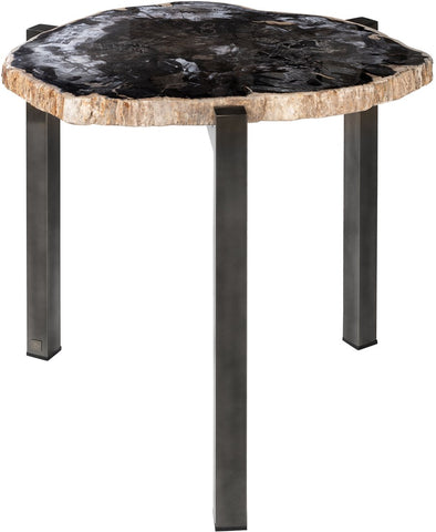 Petrified Wood Occasional Table *